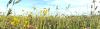 Afbeelding: banner duurzaam 500