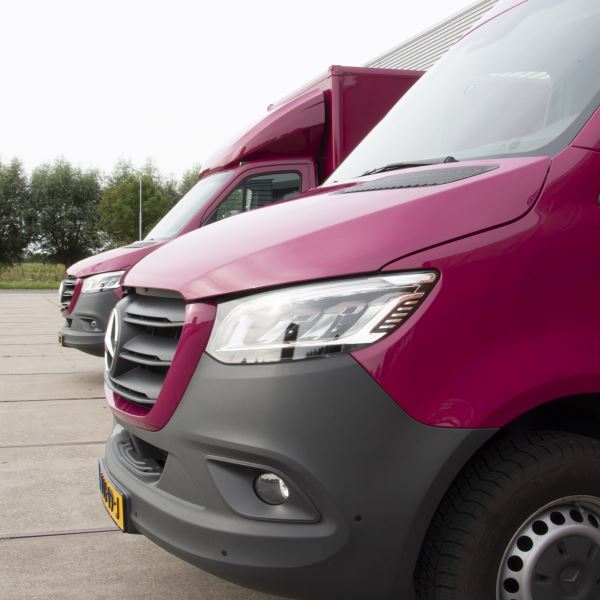 gekleurde uitvaartkisten