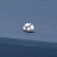 RVS sluitschroef grafkist